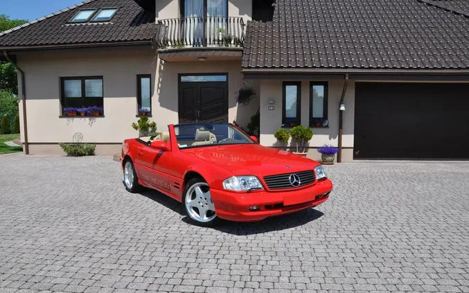 mercedes benz sl wieluń Mercedes-Benz SL cena 99000 przebieg: 74060, rok produkcji 2001 z Wieluń